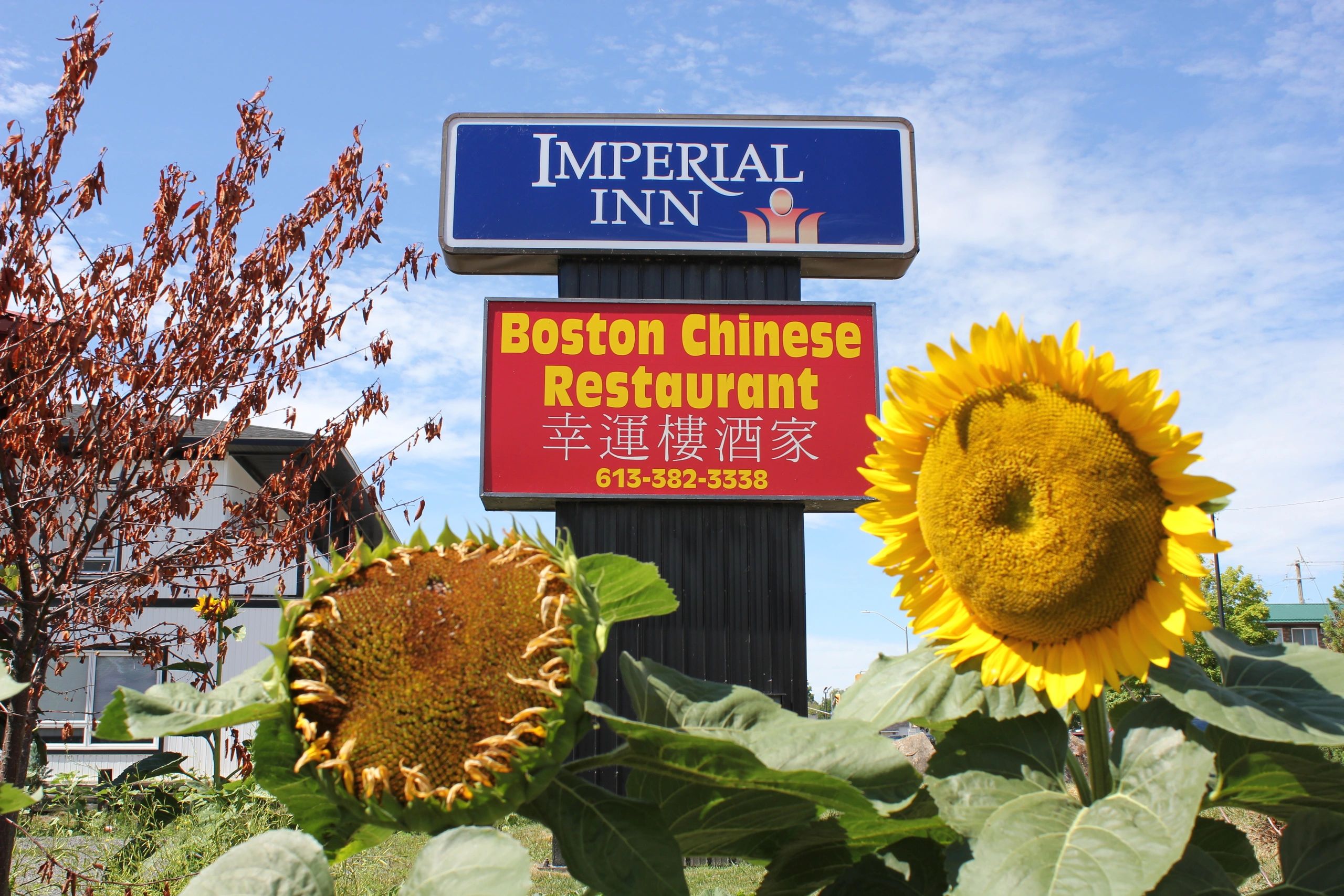 Boston Chinese Restaurant